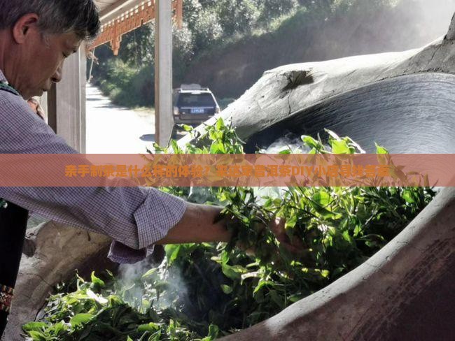 亲手制茶是什么样的体验？来这家普洱茶DIY小店寻找答案