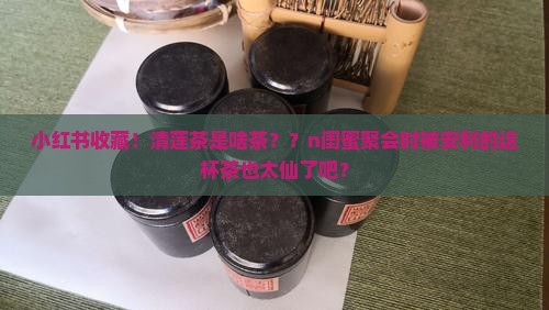 小红书收藏！清莲茶是啥茶？？n闺蜜聚会时被安利的这杯茶也太仙了吧？