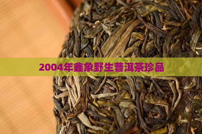 2004年鑫象野生普洱茶珍品