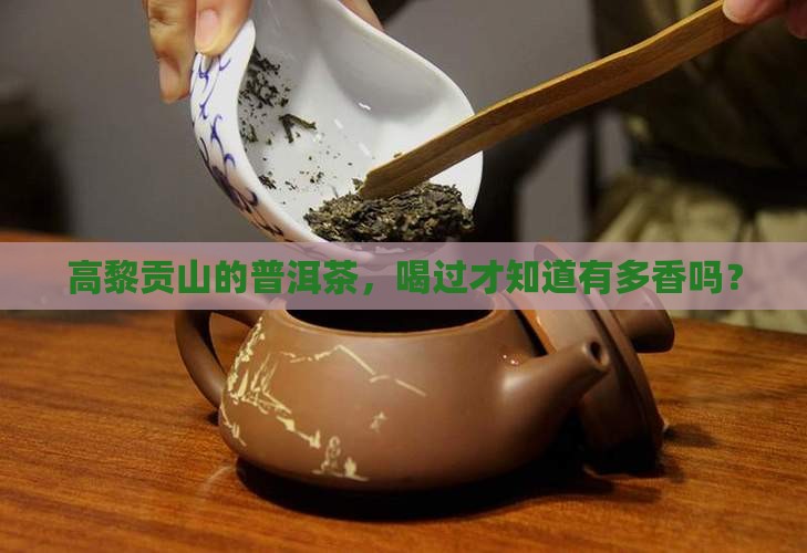 高黎贡山的普洱茶，喝过才知道有多香吗？