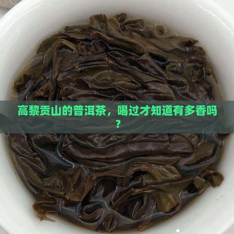 高黎贡山的普洱茶，喝过才知道有多香吗？
