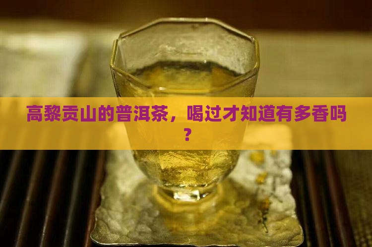 高黎贡山的普洱茶，喝过才知道有多香吗？