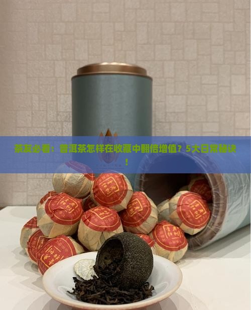 茶友必看：普洱茶怎样在收藏中翻倍增值？5大日常秘诀！
