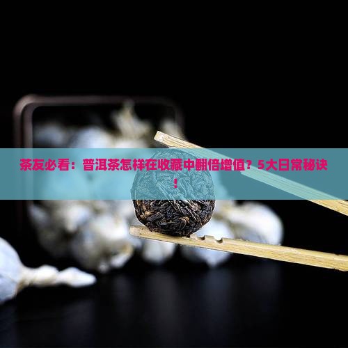 茶友必看：普洱茶怎样在收藏中翻倍增值？5大日常秘诀！