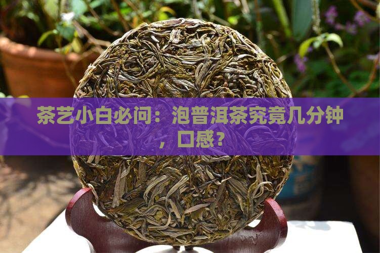 茶艺小白必问：泡普洱茶究竟几分钟，口感？