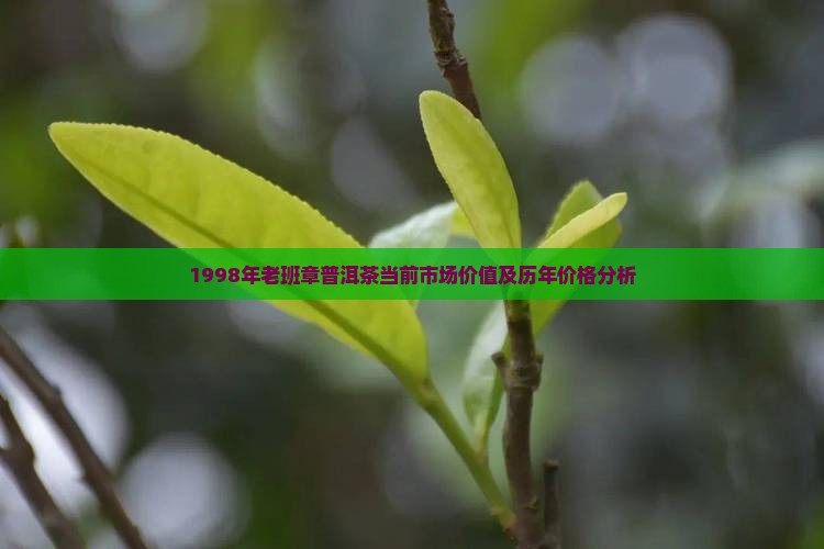 1998年老班章普洱茶当前市场价值及历年价格分析