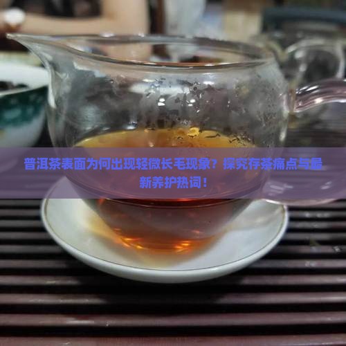 普洱茶表面为何出现轻微长毛现象？探究存茶痛点与最新养护热词！