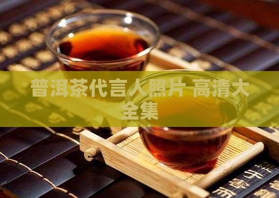 普洱茶代言人照片 高清大全集