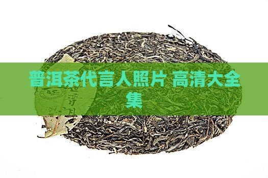 普洱茶代言人照片 高清大全集