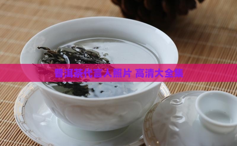 普洱茶代言人照片 高清大全集