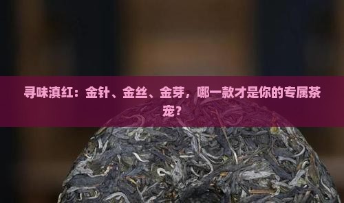 寻味滇红：金针、金丝、金芽，哪一款才是你的专属茶宠？