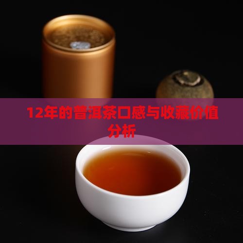 12年的普洱茶口感与收藏价值分析