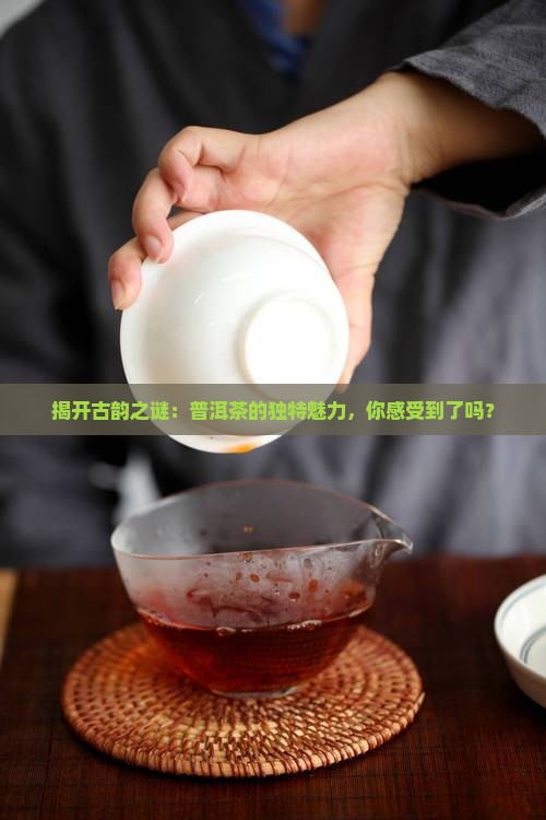 揭开古韵之谜：普洱茶的独特魅力，你感受到了吗？