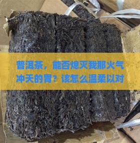 普洱茶，能否熄灭我那火气冲天的胃？该怎么温柔以对？