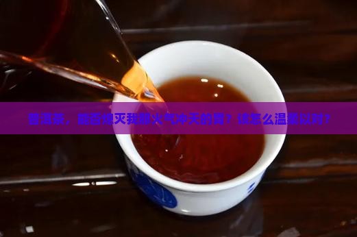 普洱茶，能否熄灭我那火气冲天的胃？该怎么温柔以对？