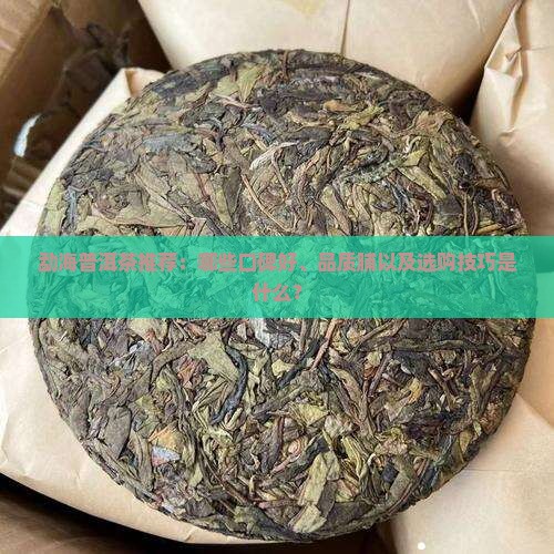 勐海普洱茶推荐：哪些口碑好、品质脯以及选购技巧是什么？