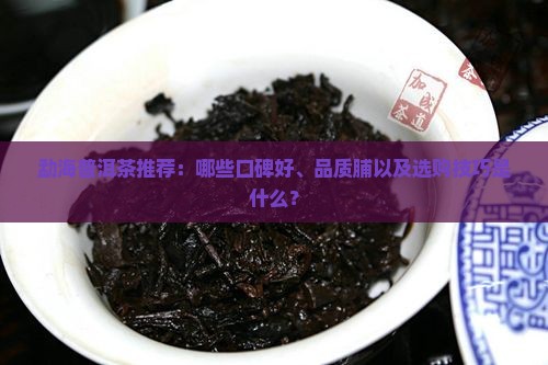 勐海普洱茶推荐：哪些口碑好、品质脯以及选购技巧是什么？