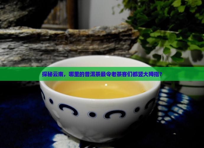 探秘云南，哪里的普洱茶最令老茶客们都竖大拇指？