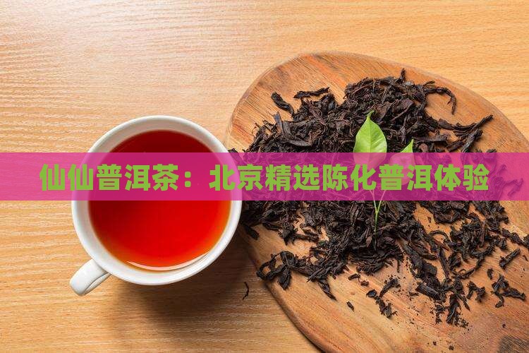 仙仙普洱茶：北京精选陈化普洱体验