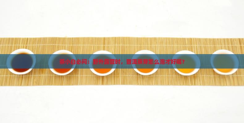 茶小白必问：野外露营时，普洱茶芽怎么泡才好喝？