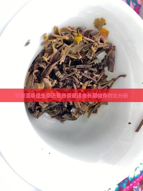 存普洱茶是生茶还是熟茶更适合长期储存对比分析