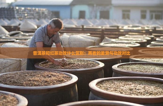 普洱茶和红茶功效什么区别：两者的差异与功效对比
