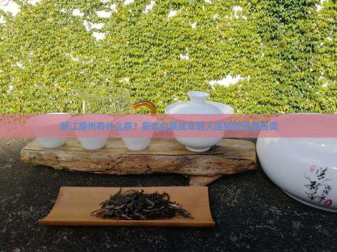 浙江湖州有什么茶？安吉白茶成年轻人追捧的健康热词