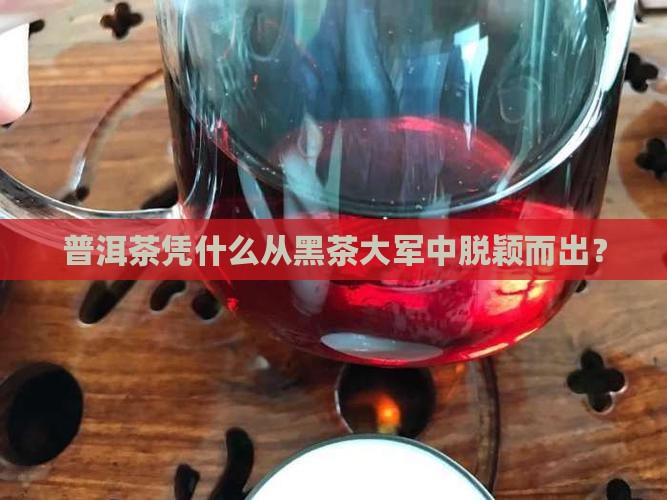 普洱茶凭什么从黑茶大军中脱颖而出？