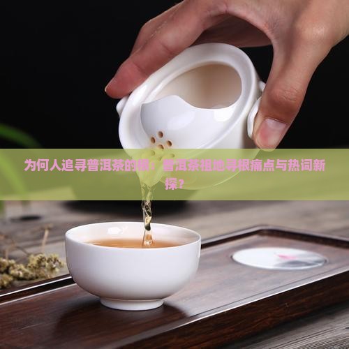 为何人追寻普洱茶的根：普洱茶祖地寻根痛点与热词新探？