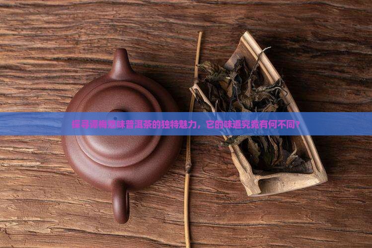 探寻谭梅悠味普洱茶的独特魅力，它的味道究竟有何不同？