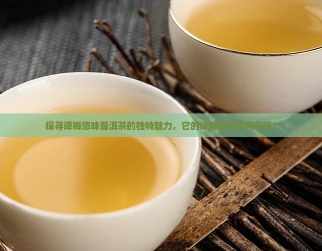 探寻谭梅悠味普洱茶的独特魅力，它的味道究竟有何不同？