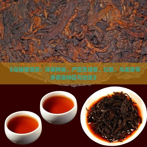 《探秘普洱茶：详解种类、产区及绿茶、红茶、乌龙茶等多茶类特征与功效》