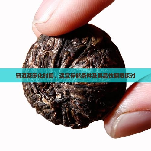 普洱茶陈化时间、适宜存储条件及其品饮期限探讨
