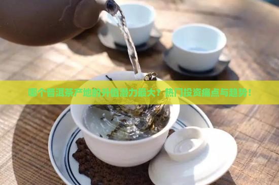 哪个普洱茶产地的升值潜力最大？热门投资痛点与趋势！