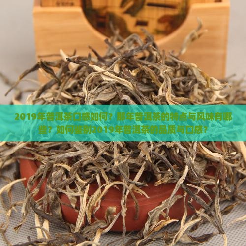 2019年普洱茶口感如何？那年普洱茶的特点与风味有哪些？如何鉴别2019年普洱茶的品质与口感？