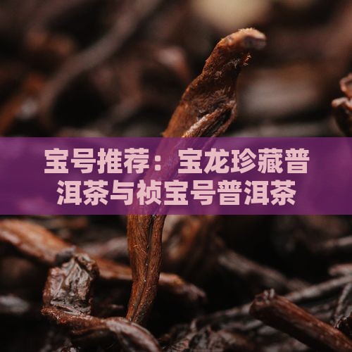 宝号推荐：宝龙珍藏普洱茶与祯宝号普洱茶