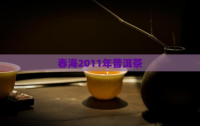 春海2011年普洱茶