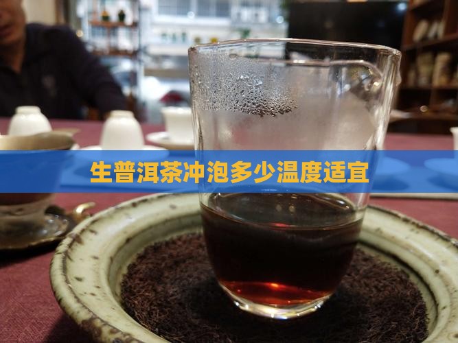 生普洱茶冲泡多少温度适宜