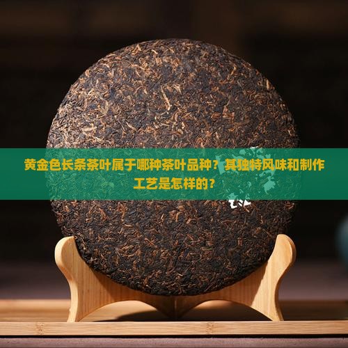 黄金色长条茶叶属于哪种茶叶品种？其独特风味和制作工艺是怎样的？
