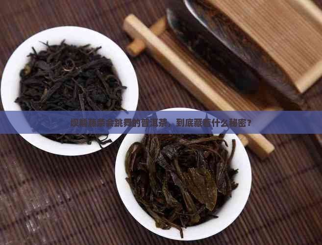 坝糯藤条会跳舞的普洱茶，到底藏着什么秘密？