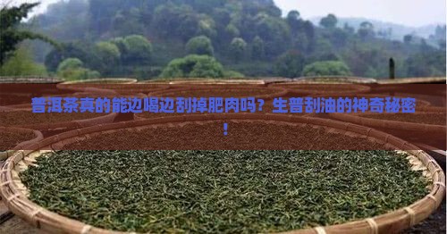 普洱茶真的能边喝边刮掉肥肉吗？生普刮油的神奇秘密！