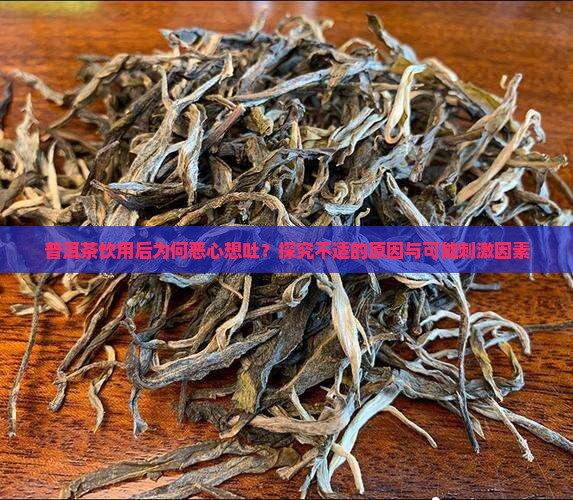 普洱茶饮用后为何恶心想吐？探究不适的原因与可能刺激因素