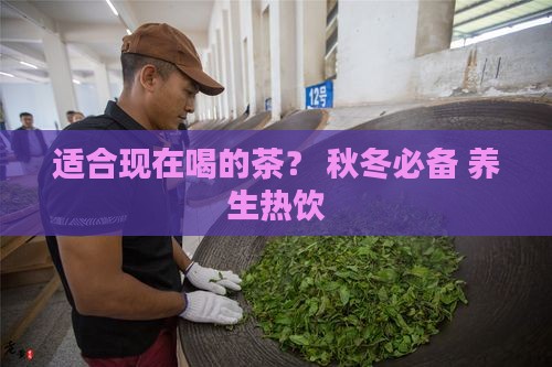 适合现在喝的茶？+秋冬必备+养生热饮