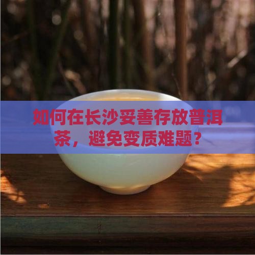 如何在长沙妥善存放普洱茶，避免变质难题？