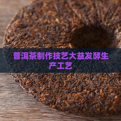 普洱茶制作技艺大益发酵生产工艺