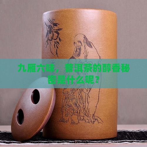 九雁六味，普洱茶的醇香秘密是什么呢？