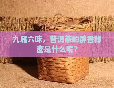 九雁六味，普洱茶的醇香秘密是什么呢？