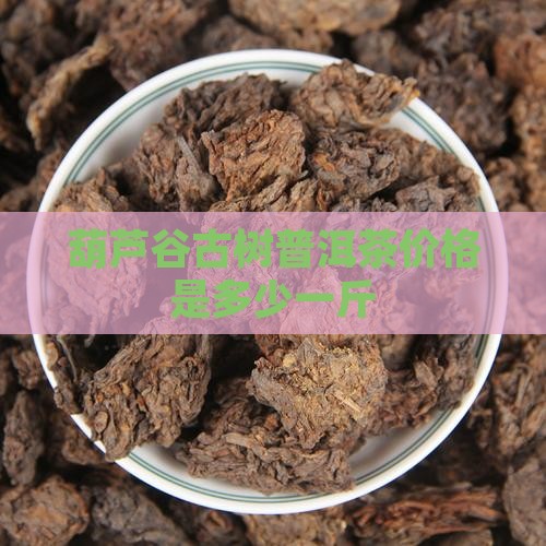 葫芦谷古树普洱茶价格是多少一斤