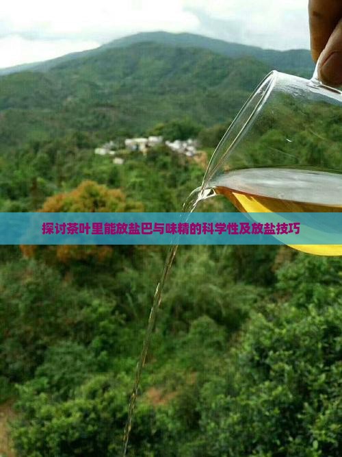 探讨茶叶里能放盐巴与味精的科学性及放盐技巧