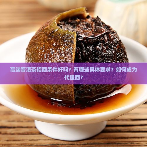 高端普洱茶招商条件好吗？有哪些具体要求？如何成为代理商？
